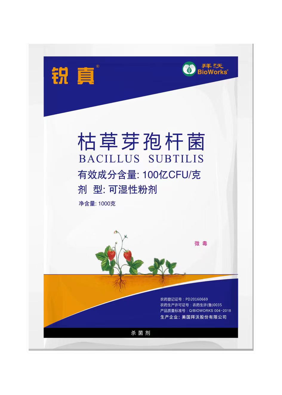 �ݲ�ѿ�߸˾�---˪ù��̿�Ҳ���ݲ���Ҷ����������������